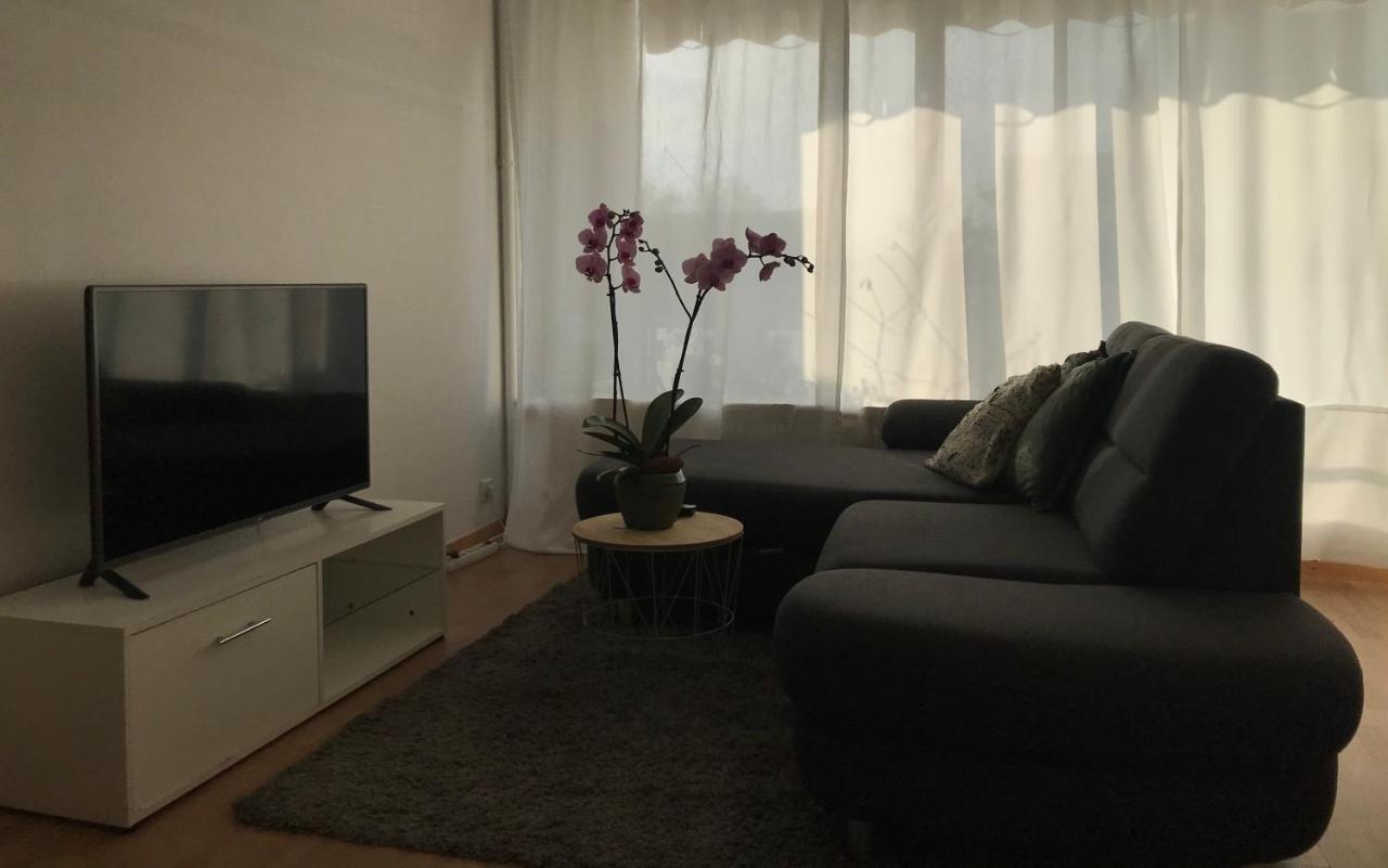 Bel Appartement Near Bale Mulhouse Airport Saint-Louis  Exterior photo