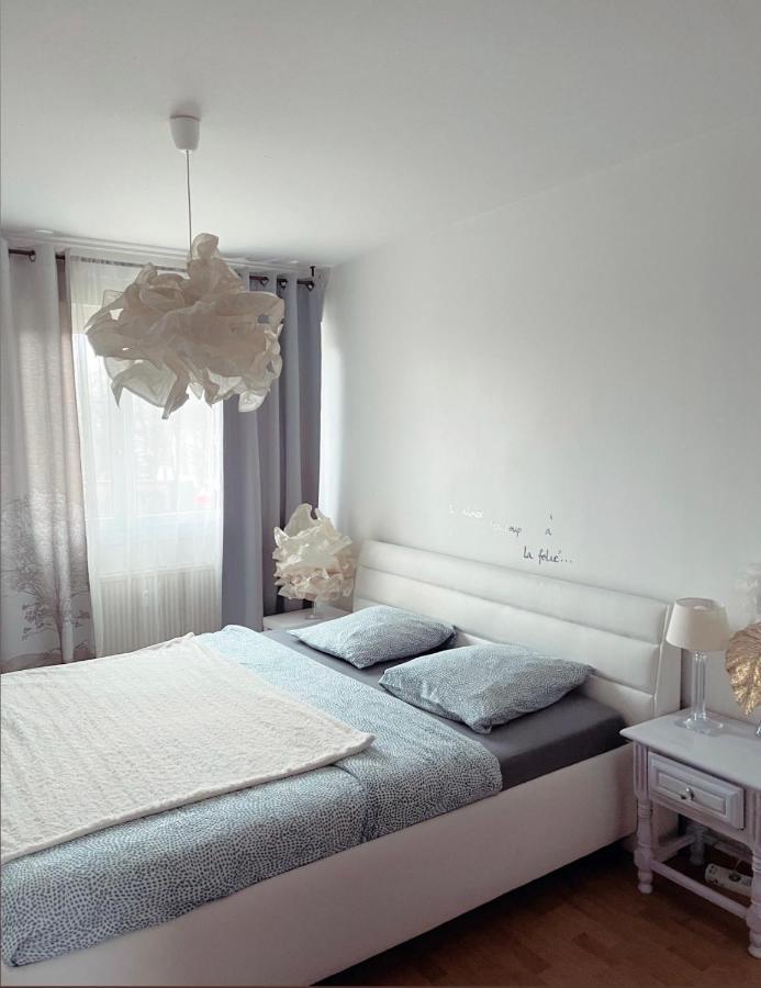 Bel Appartement Near Bale Mulhouse Airport Saint-Louis  Exterior photo