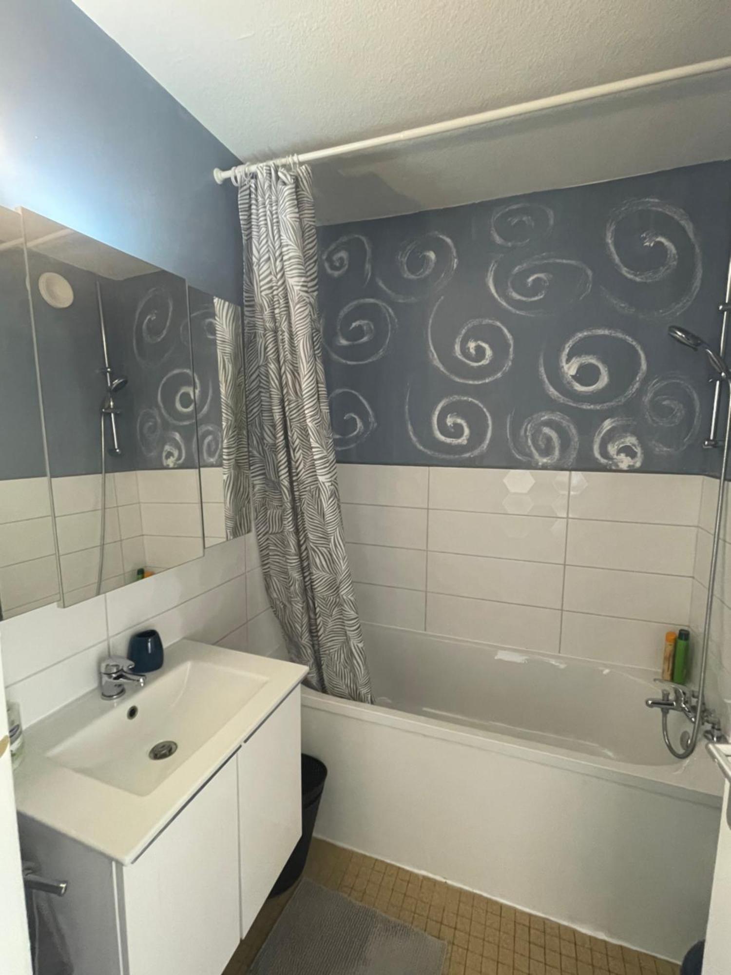 Bel Appartement Near Bale Mulhouse Airport Saint-Louis  Exterior photo