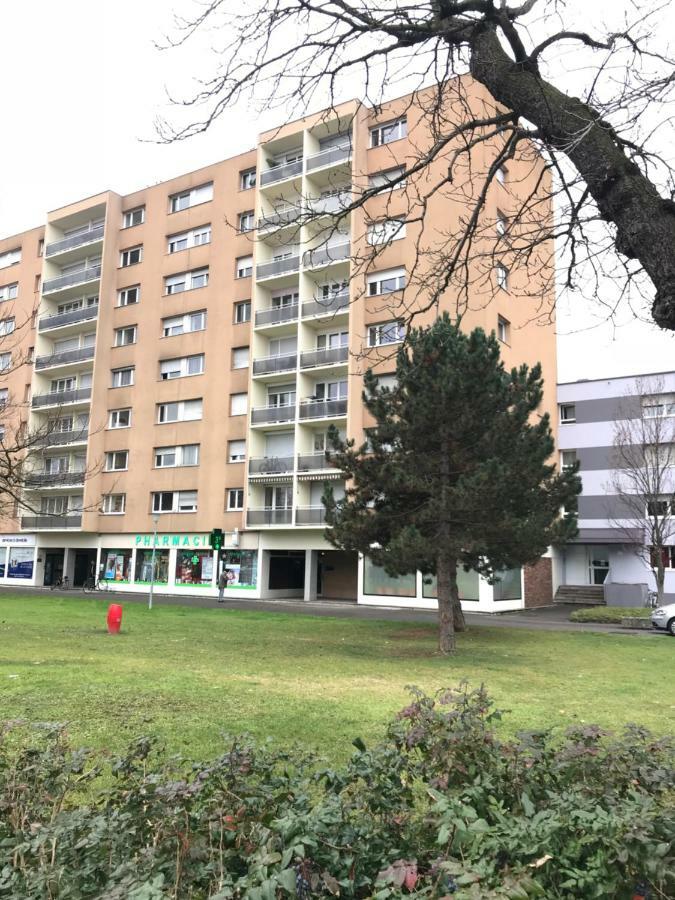 Bel Appartement Near Bale Mulhouse Airport Saint-Louis  Exterior photo